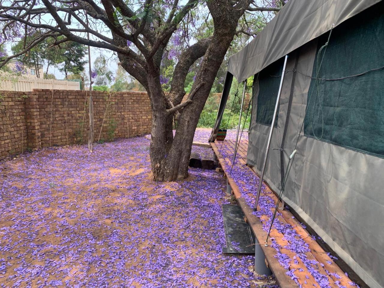 Meule Sunset Guesthouse And Venue Cullinan מראה חיצוני תמונה