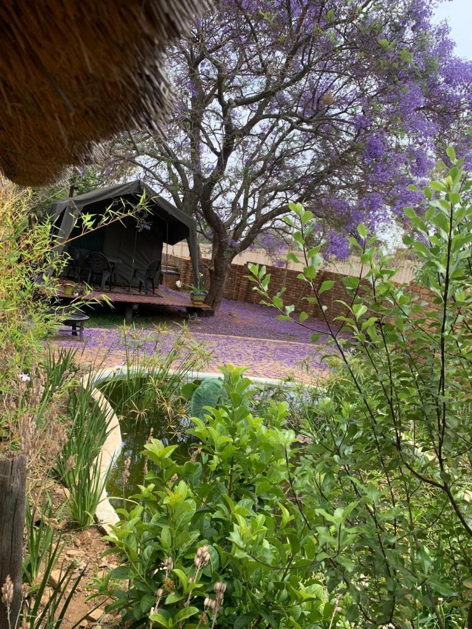 Meule Sunset Guesthouse And Venue Cullinan מראה חיצוני תמונה